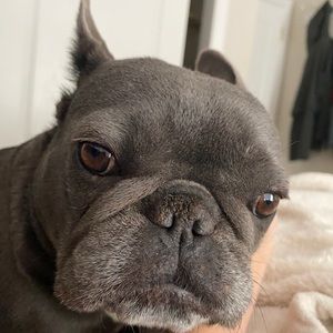 Meet your Posher, Drew